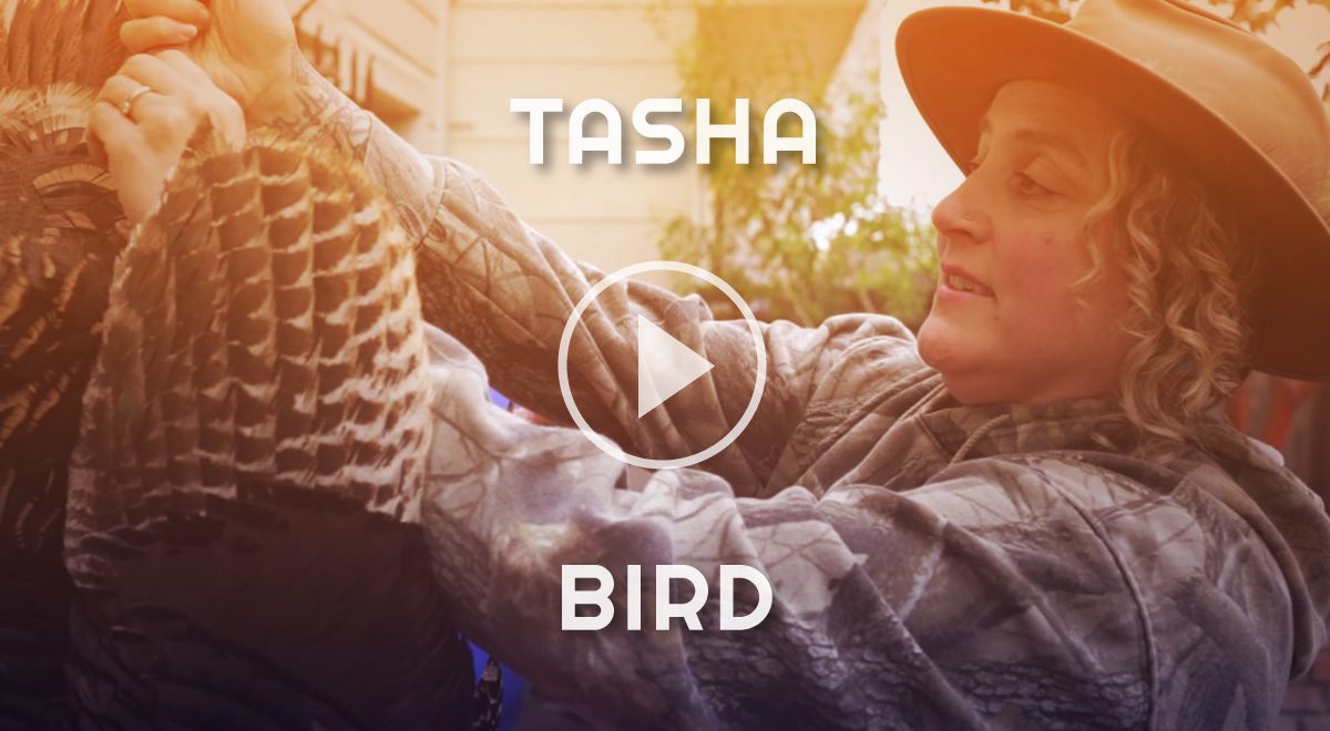 Tasha Bird
